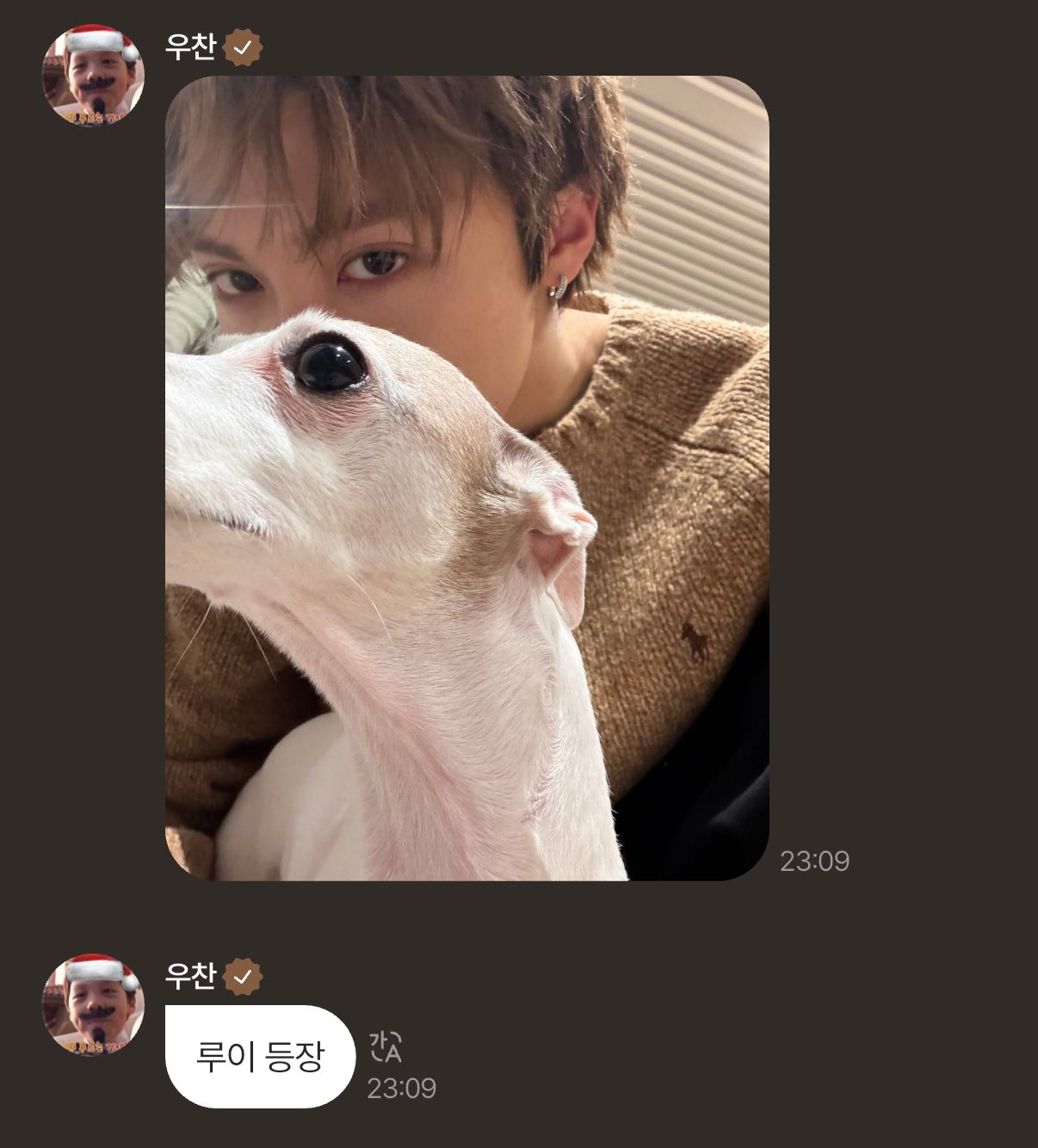 [잡담] 올데프 우찬 애니 웰유앳(강아지ver) | 인스티즈