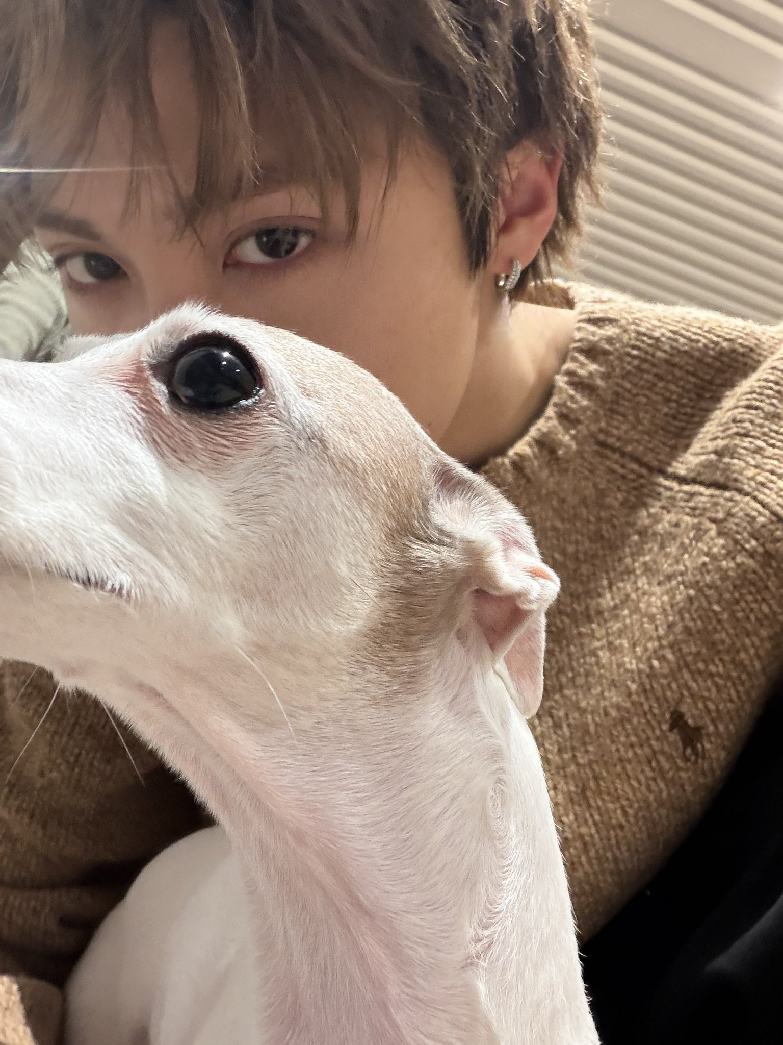 [잡담] 올데프 우찬 애니 웰유앳(강아지ver) | 인스티즈