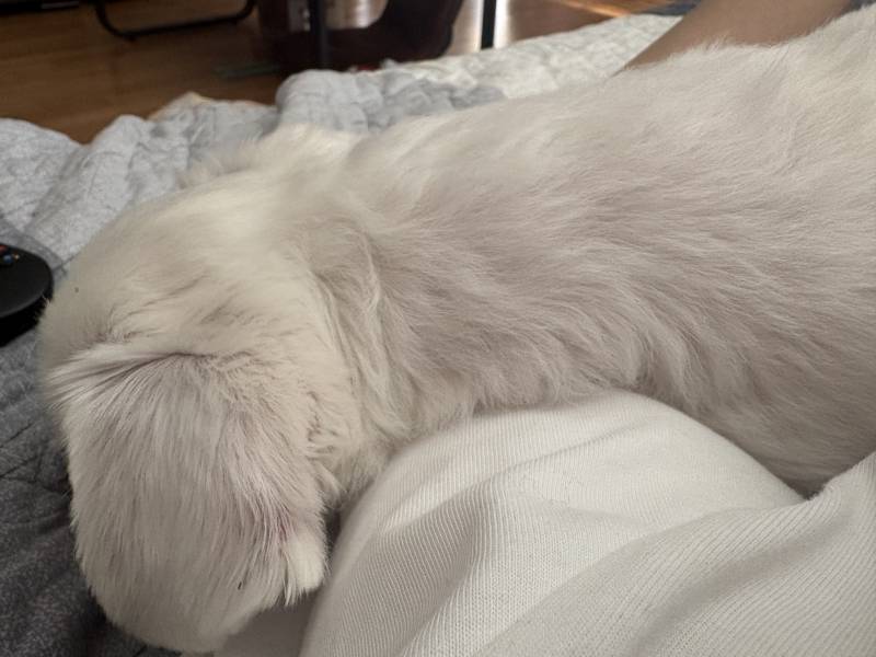 [잡담] 나..권력있따..✨ | 인스티즈