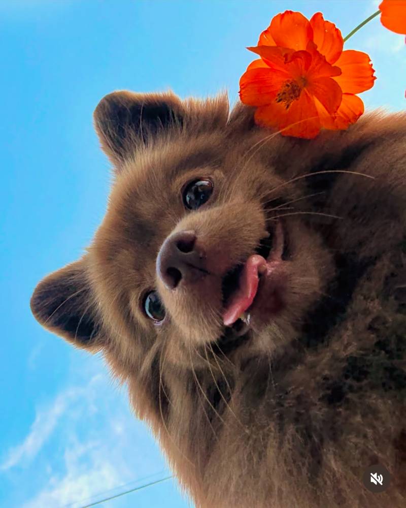 [잡담] 오늘도 바미하세요 | 인스티즈