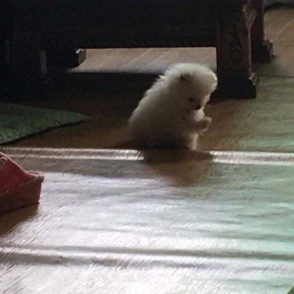 [잡담] 원빈이 뭐하묘 | 인스티즈