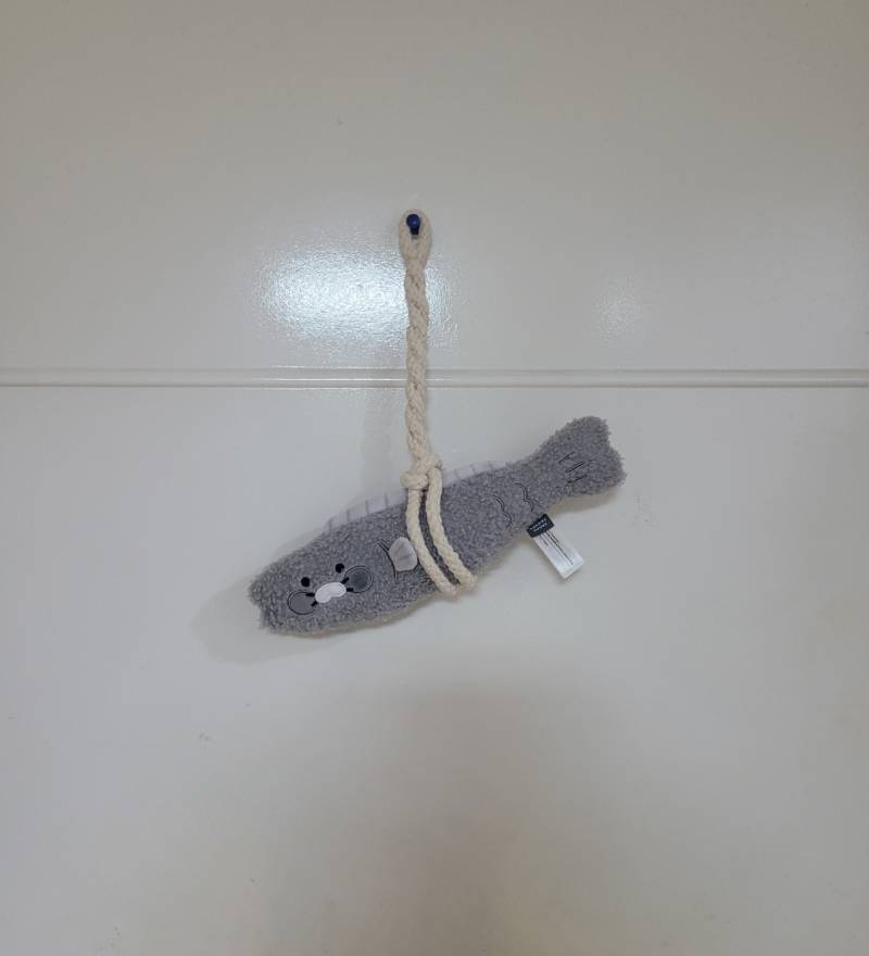 [잡담] 새해맞이 명태 액막이 샀어 구경해🐴 | 인스티즈