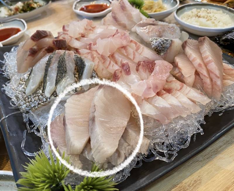 [잡담] 회 진짜 잘 아는 사람 | 인스티즈