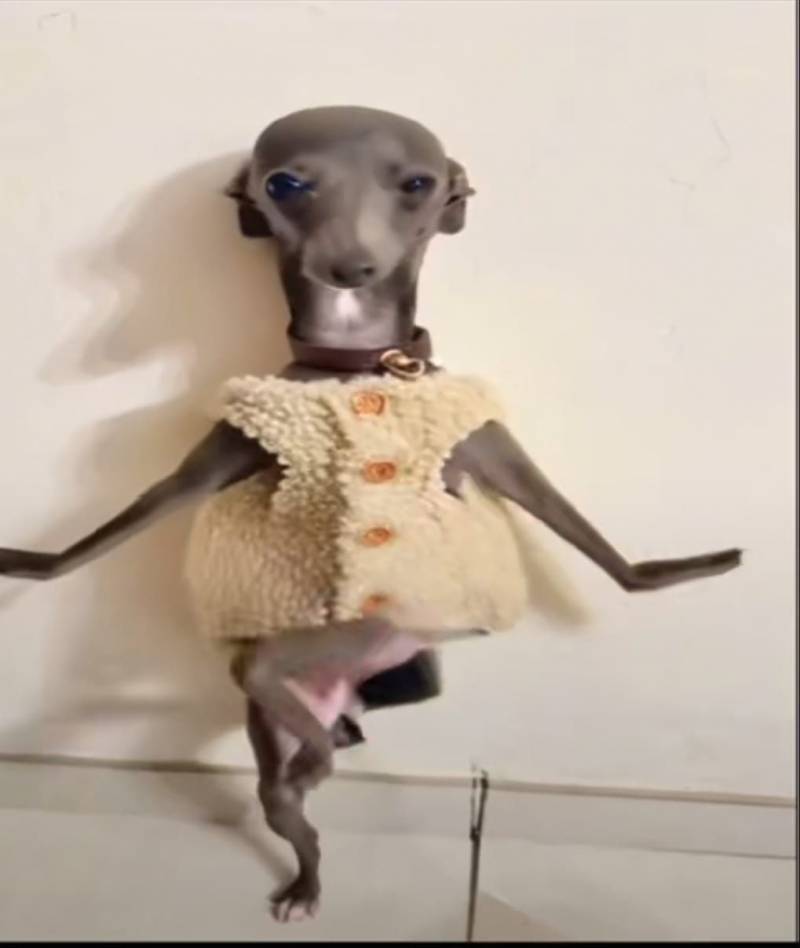 [잡담] 97 서른 기대됨 | 인스티즈