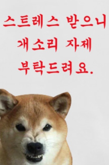 [마플] 1월1일 큰방 정병과 마플러들에게❣️ | 인스티즈