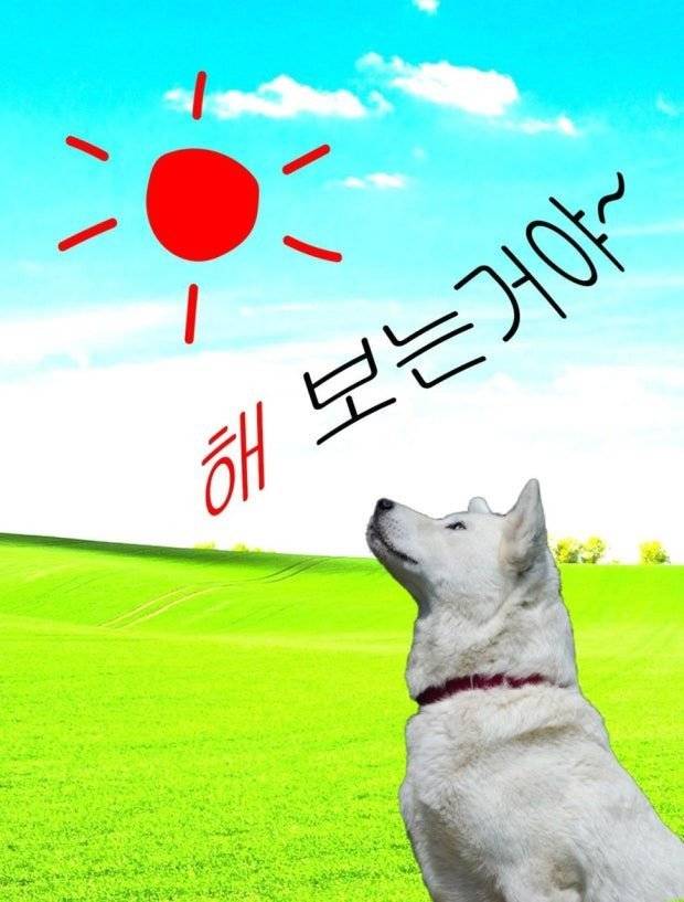 [잡담] 나 한동안 프사 이거였음 | 인스티즈