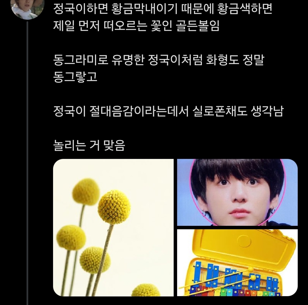 [잡담] 정국 대표 꽃 골든볼인데 선정사유가 | 인스티즈