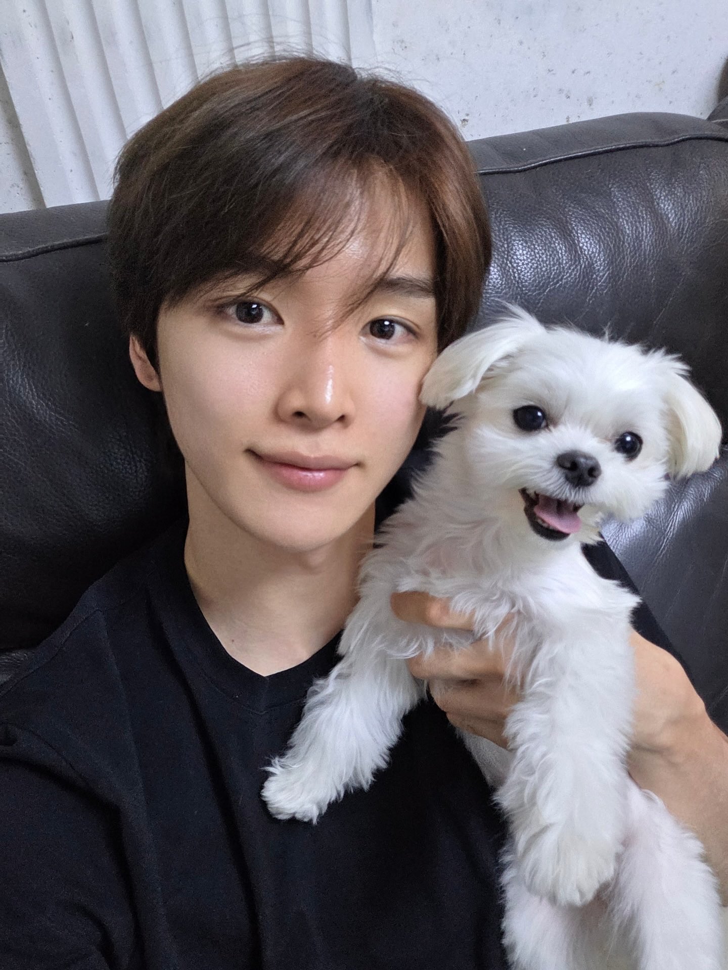 [잡담] 남친이랑 산책다녀옴 우리집 강아디 어때? | 인스티즈