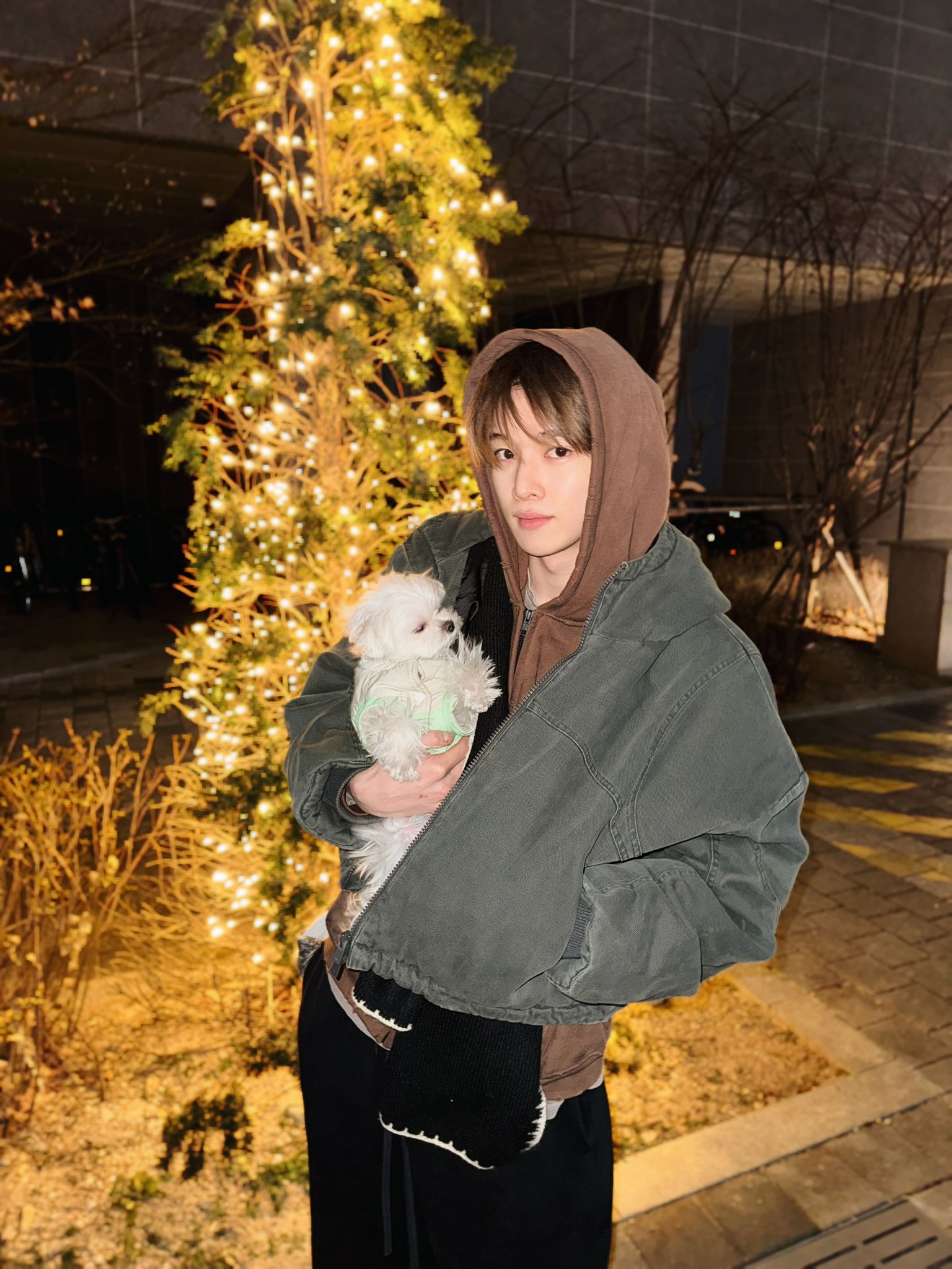 [잡담] 성찬이 강아지가 작은걸까 성차니가 큰걸까?🤔🤔 | 인스티즈