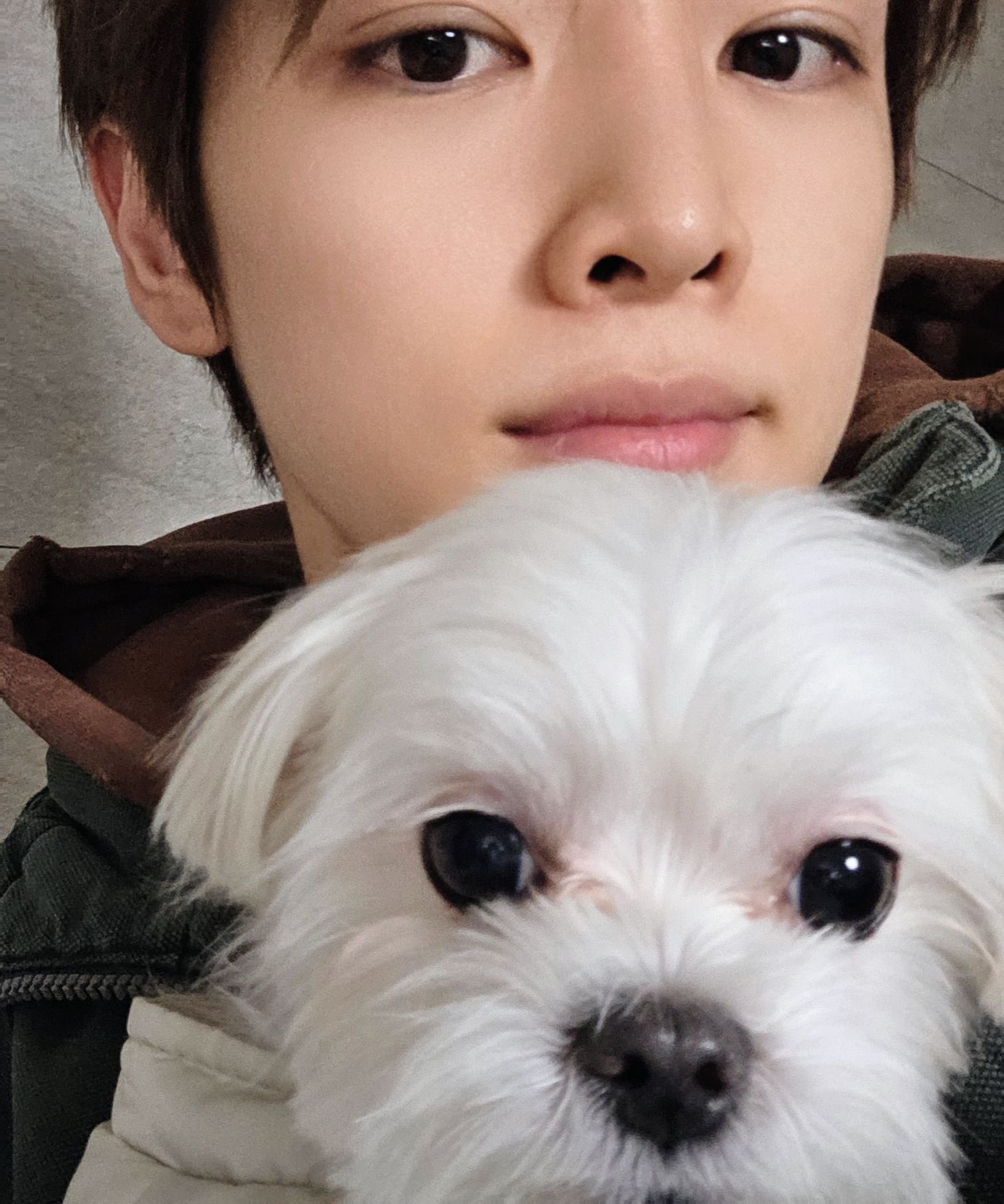 [잡담] 남친이랑 산책다녀옴 우리집 강아디 어때? | 인스티즈