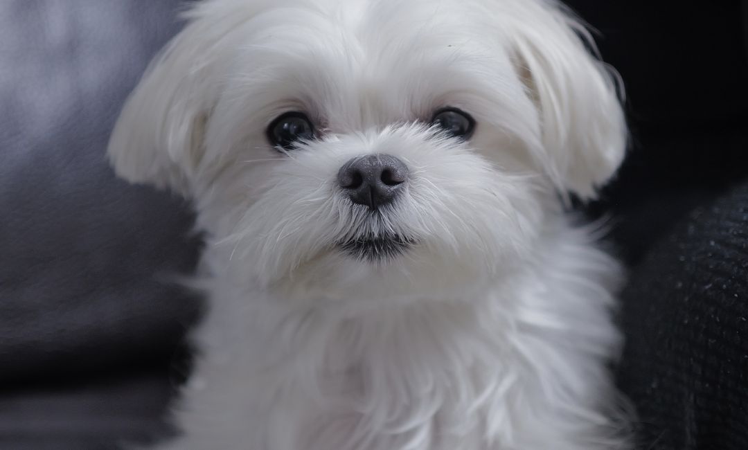 [잡담] 성찬이가 겨울이 증명사진 보내줌ㅋㅋ | 인스티즈