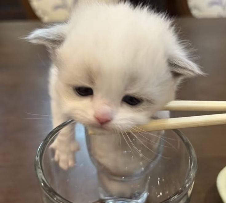 [잡담] 더 하찮아 보이는 애 누구임? | 인스티즈