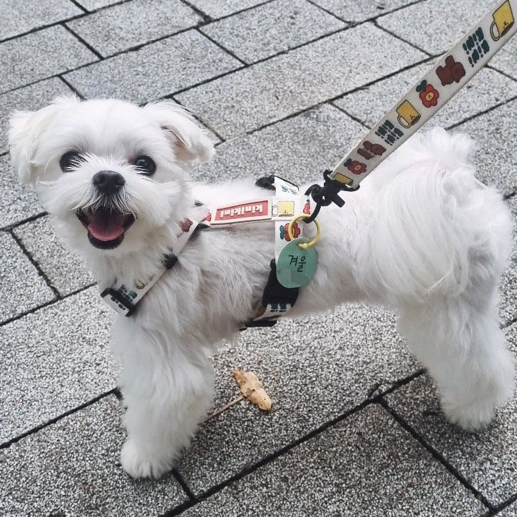 [잡담] 성찬 : 겨울아🧡 겨울이 : 너 누군데 | 인스티즈