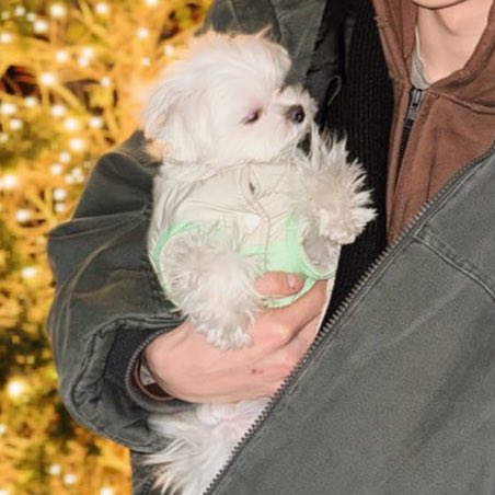 [잡담] 성찬이가 이렇게 부러웠던적은 처음 | 인스티즈