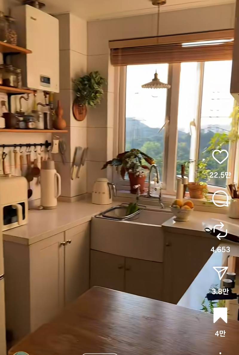 [잡담] 사고 싶은 집이랑 살고 싶은 집이랑 너무 다름 ㅋㅋㅋㅋㅋㅠ | 인스티즈