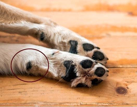 [정보/소식] 이거 명칭 아는 사람? | 인스티즈