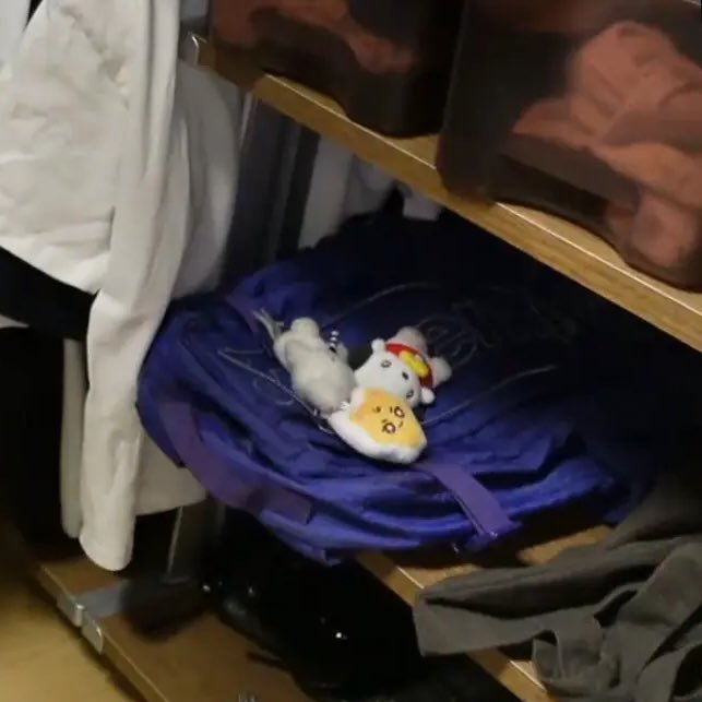 [잡담] 조우안신 보라색 가방에 키링 추가된거 | 인스티즈