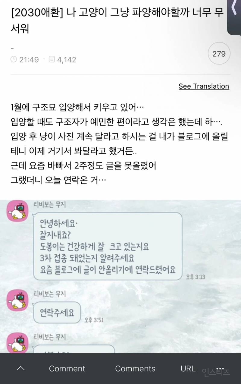 논란되고 있는 고양이 입양자 살해협박 사건 | 인스티즈