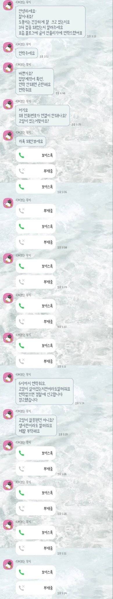 논란되고 있는 고양이 입양자 살해협박 사건 | 인스티즈