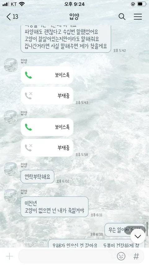 논란되고 있는 고양이 입양자 살해협박 사건 | 인스티즈