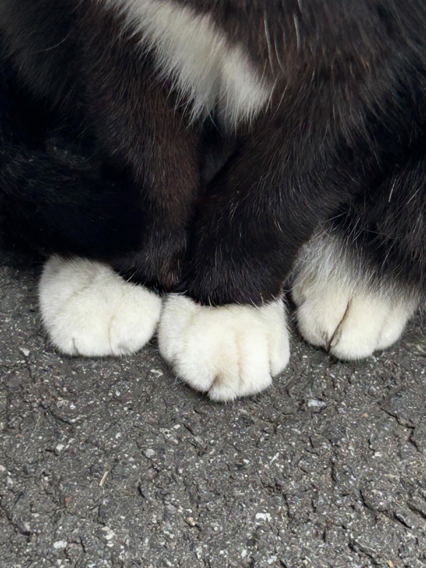 [잡담] 아이유) 260102 아이유 인스타 업뎃 | 인스티즈