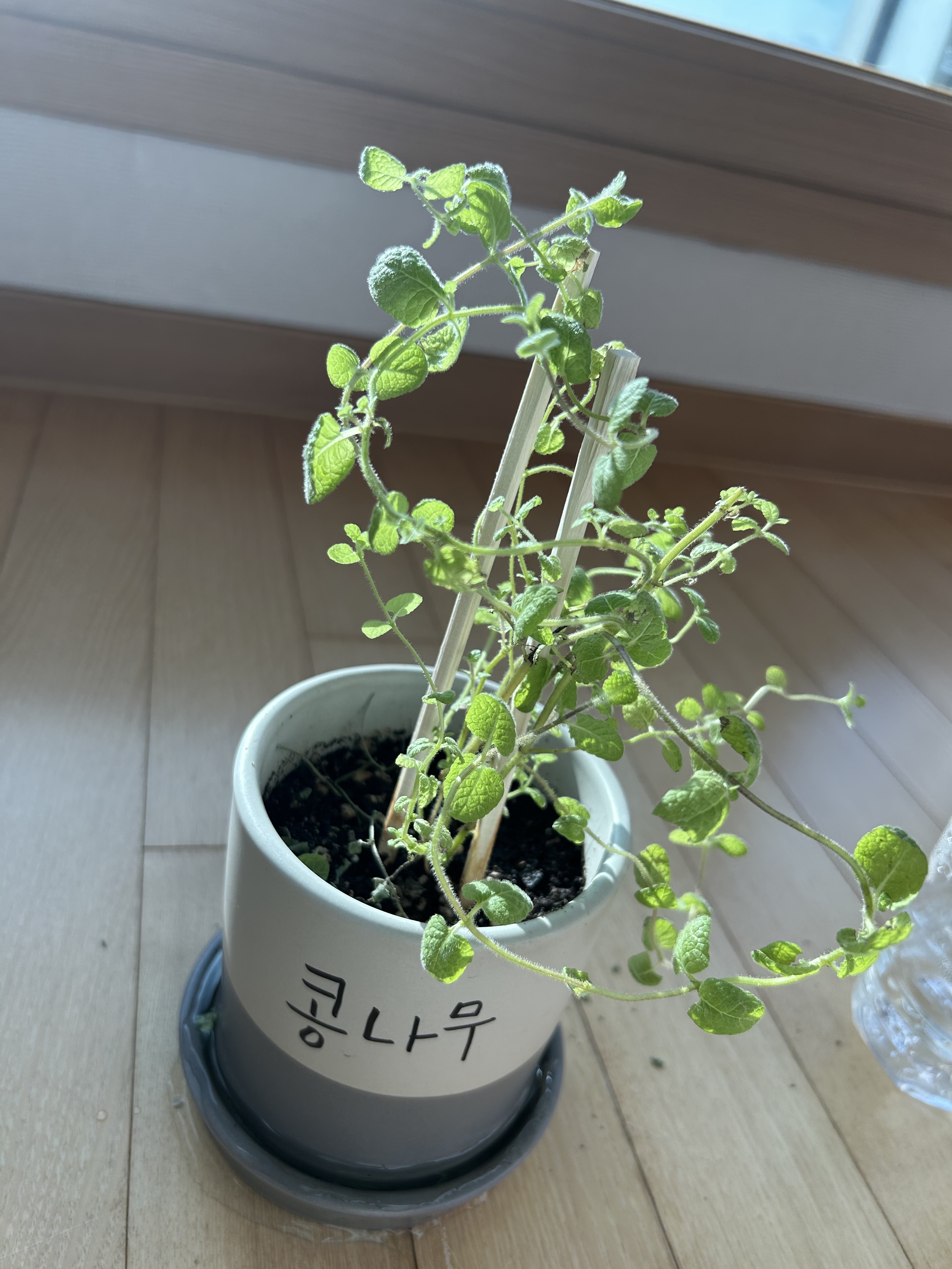 [잡담] 아이유가 인스타에 못 올린 사진 풀어줌! | 인스티즈