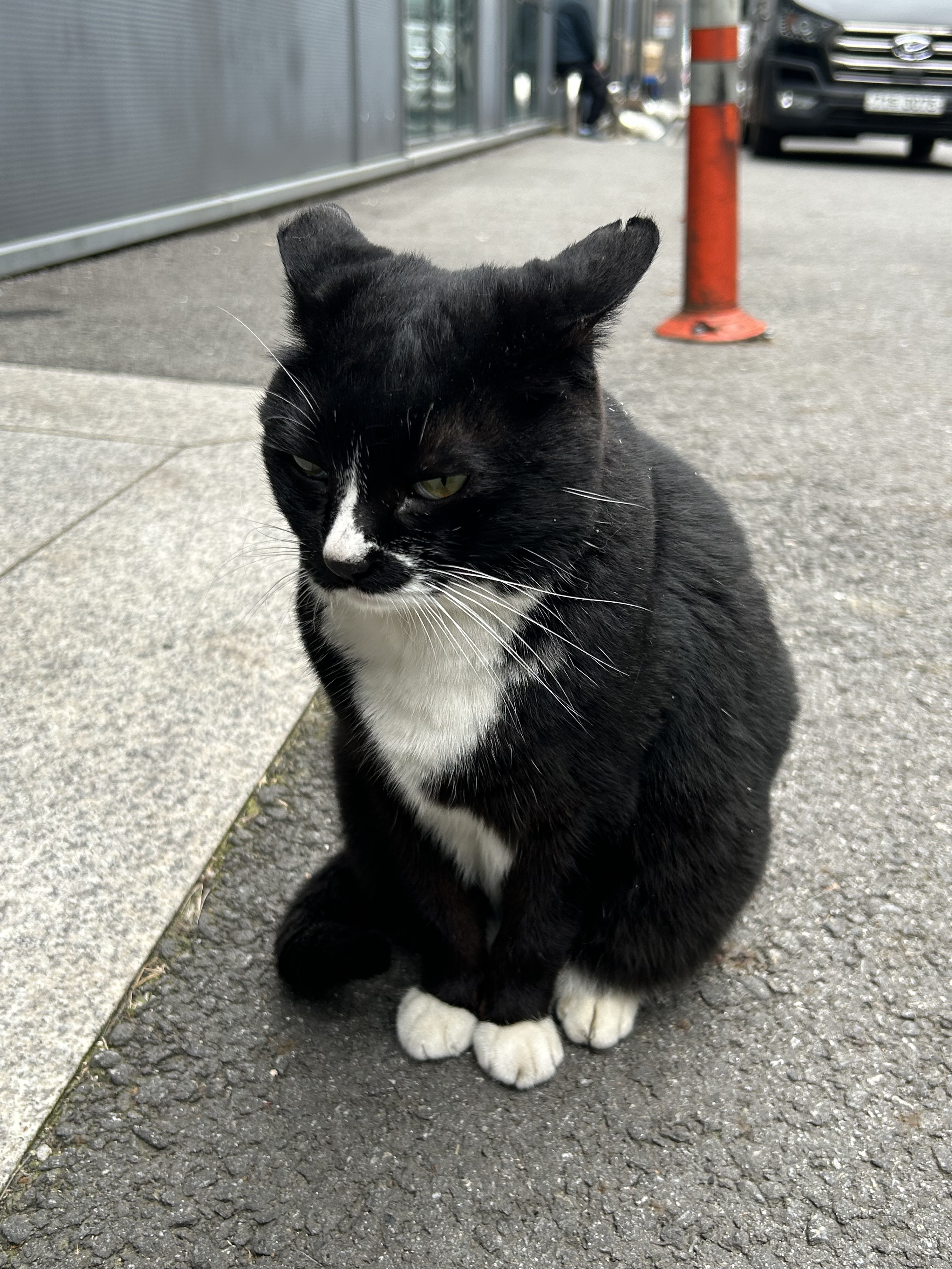 [잡담] 아이유가 인스타에 못 올린 사진 풀어줌! | 인스티즈