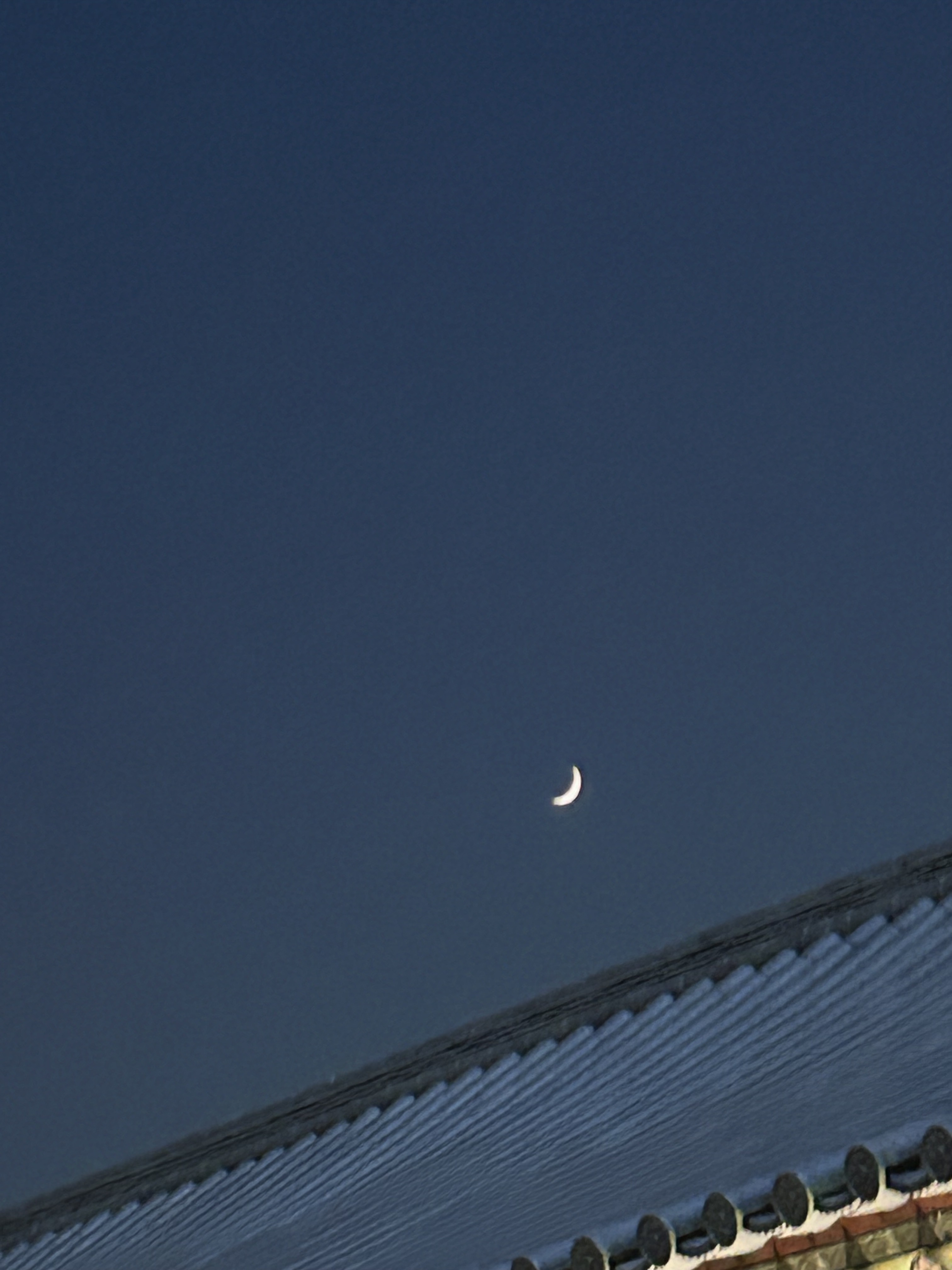 [잡담] 아이유가 인스타에 못 올린 사진 풀어줌! | 인스티즈