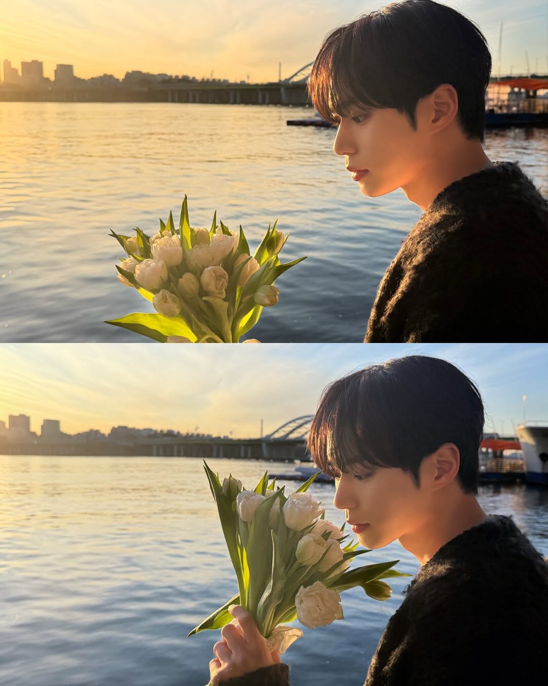 [잡담] 진심 알디원 어제 준 사진 사귐통 씨게 옴 | 인스티즈