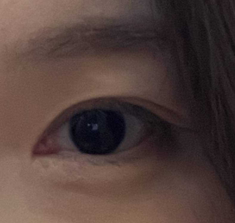 [잡담] 꾸민 티 안 내지만 잘보이고 싶은 사람 있는 자리인데 속눈썹 붙일까 말까? | 인스티즈