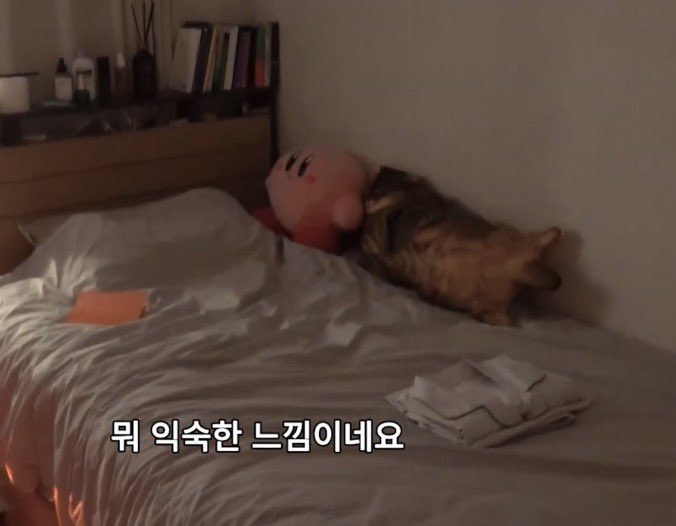 [잡담] 알디원 이상원 침대 위 공포다(P) | 인스티즈