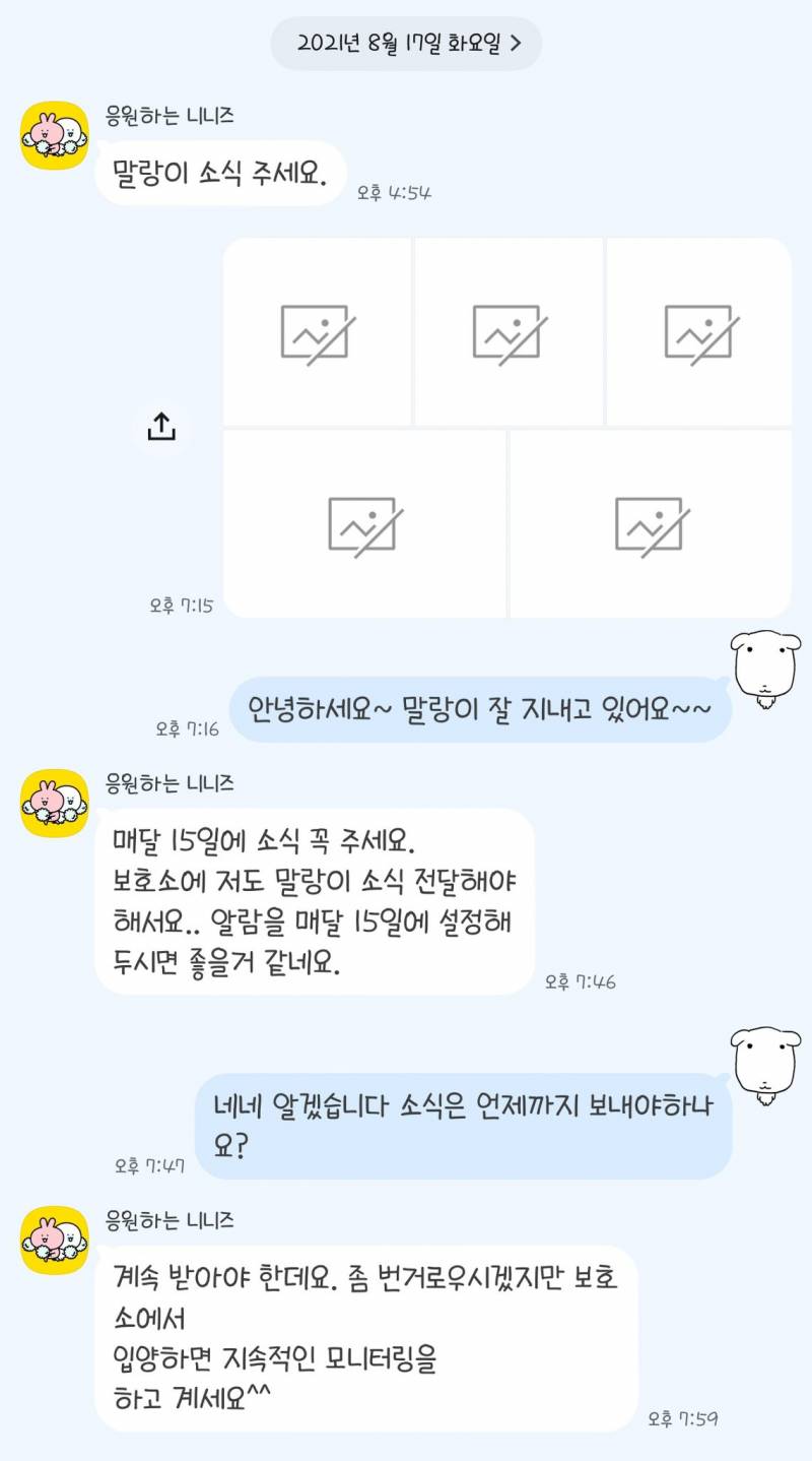 [잡담] 나 고양이 그냥 파양해야할까 너무 무서워 | 인스티즈