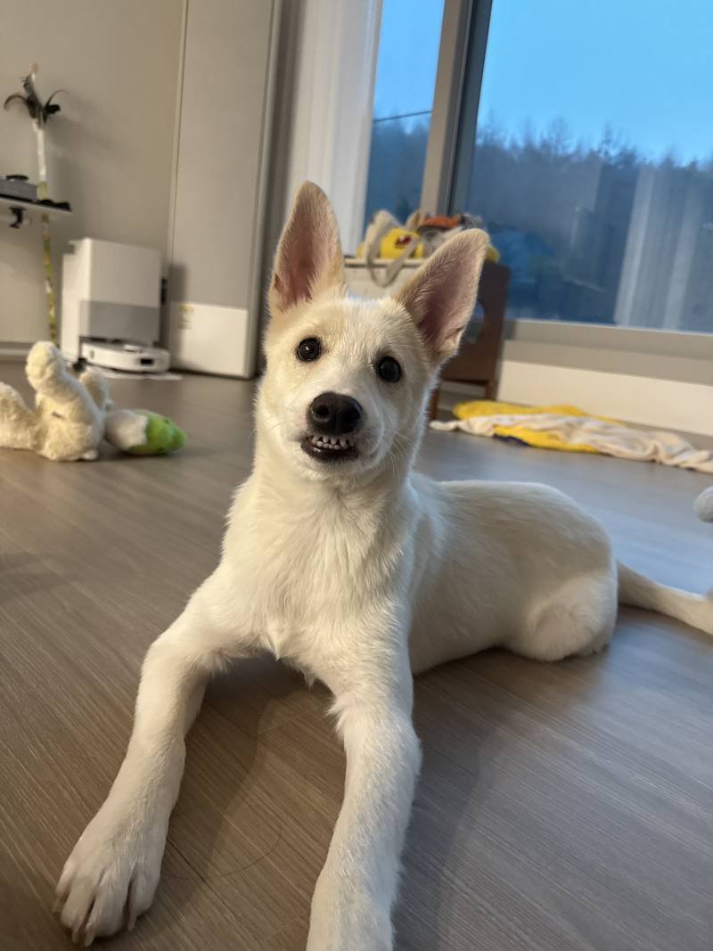 [잡담] 아니 우리 애만 자꾸 앞니 플러팅 하니 | 인스티즈