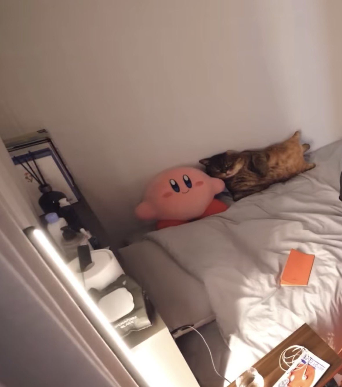 [잡담] 알디원 상원 깔끔도 깔끔인데 방 꾸며놓은거 | 인스티즈