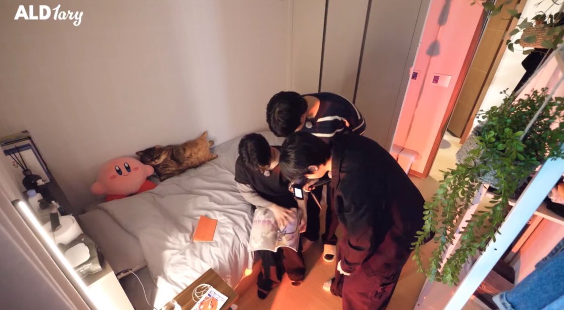 [잡담] 알디원 상원 깔끔도 깔끔인데 방 꾸며놓은거 | 인스티즈