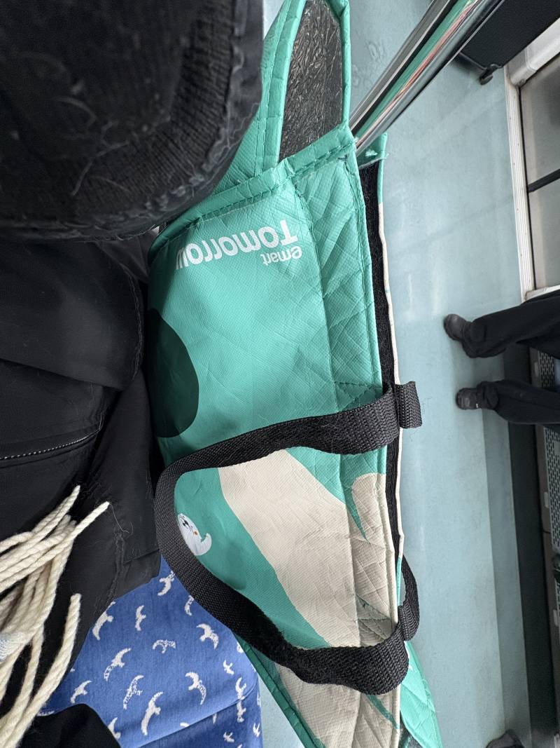 [잡담] 강아지 걍 쇼핑백에 넣고 지하철 탐 | 인스티즈