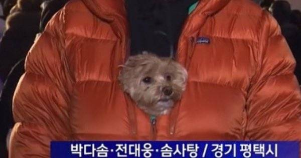 [잡담] 일단 올해 넘어오고 본 뉴스 중에 제일 마음에 든다 | 인스티즈