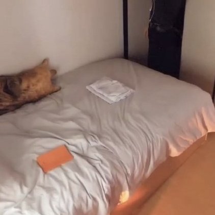 [잡담] 알디원 이상원 침대 위 공포다(P) | 인스티즈