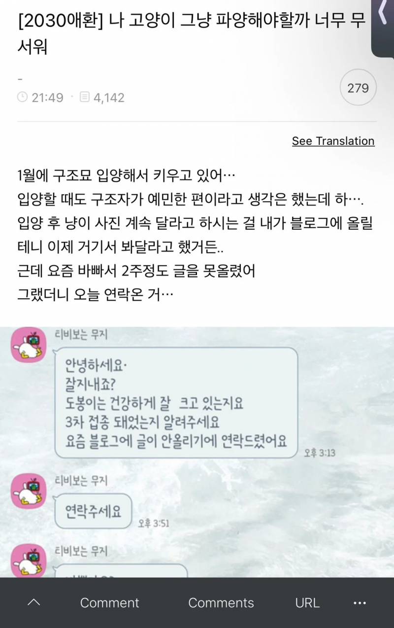 [잡담] 나 고양이 그냥 파양해야할까 너무 무서워 | 인스티즈