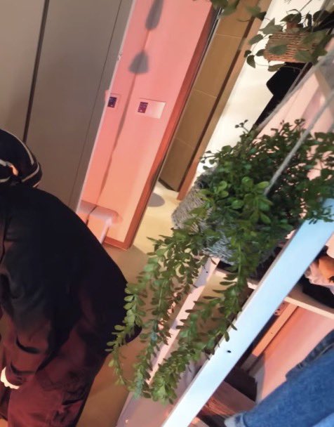 [잡담] 알디원 상원 깔끔도 깔끔인데 방 꾸며놓은거 | 인스티즈