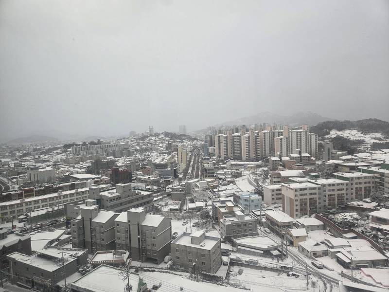 [잡담] 눈이 쌓였당 | 인스티즈