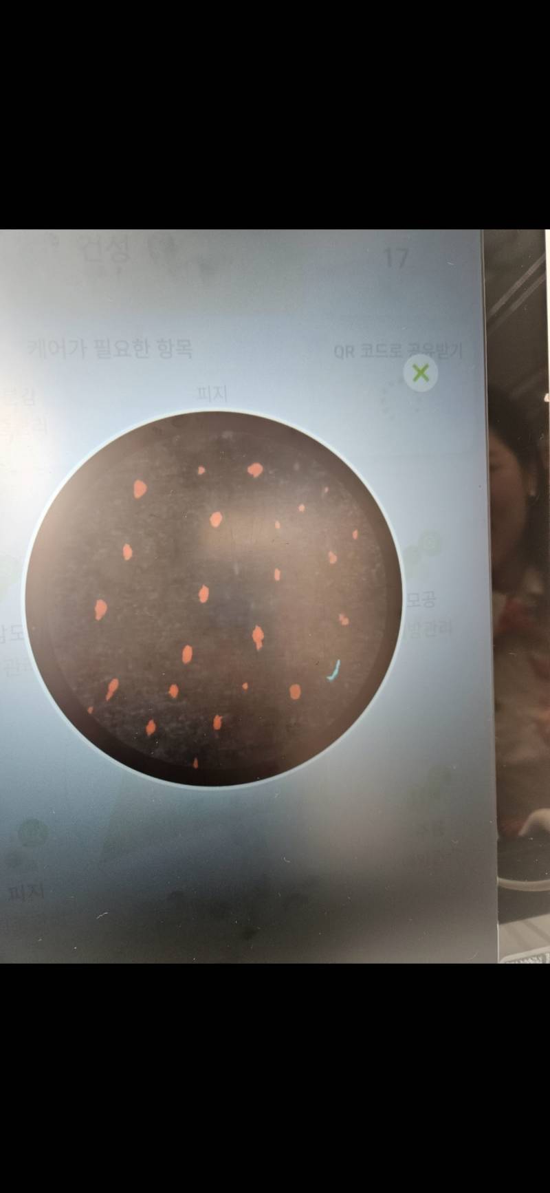 [잡담] 올영에서 퀵메이크업,피부진단해주는 매장도 있음!! | 인스티즈