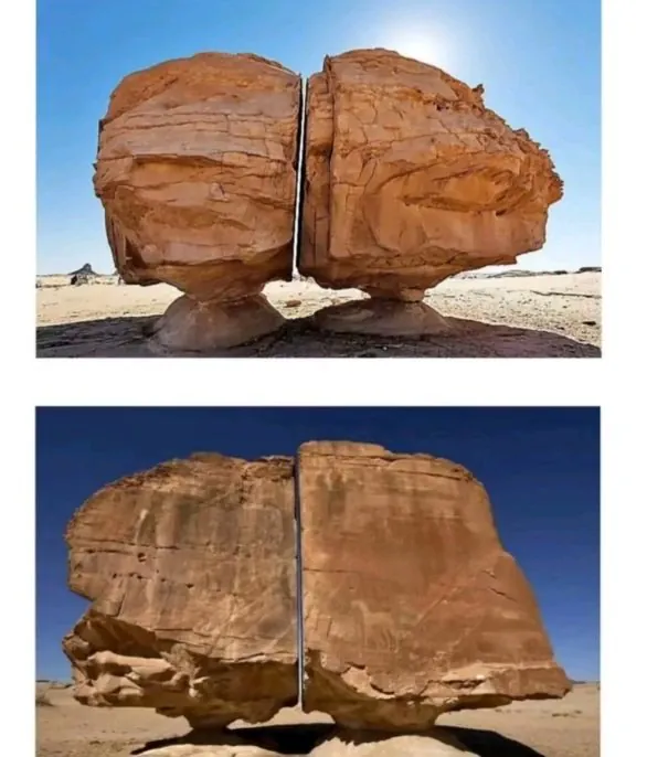 과학자들이 사실을 알려줘도 안 믿음ㅋㅋ | 인스티즈