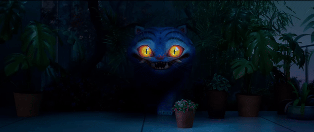 [마플] 어떤 돌이 최근 데리고 다니는데 이 고양이 품종묘 아님? | 인스티즈