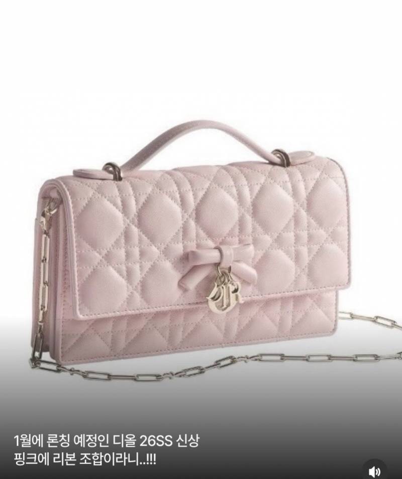 요즘 루이비통도 동참중이라는 러브캣 미감..JPG | 인스티즈