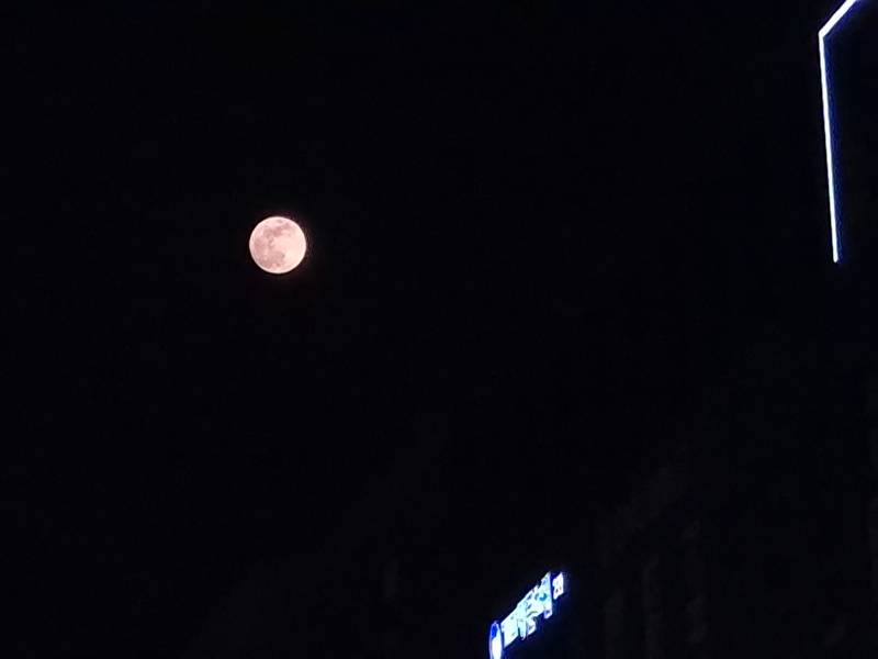 [잡담] 오늘 달 엄청 크지않아? | 인스티즈