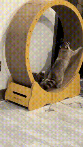 정규직과 처음 나온 무경험 알바 | 인스티즈