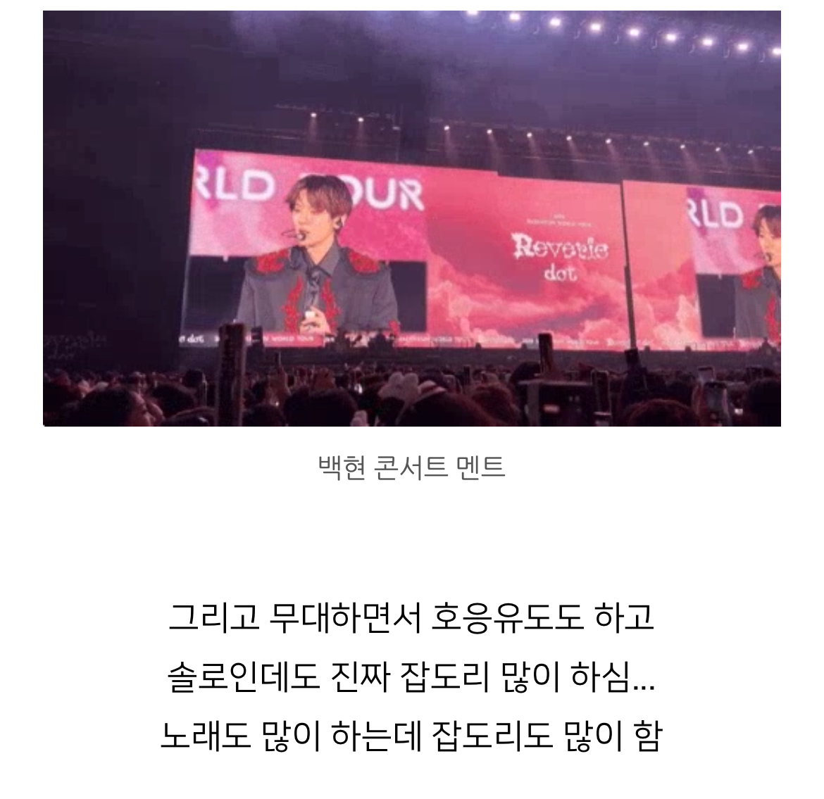 [잡담] 아나 백현이 콘서트 머글 후기 보는데 개웃기네 | 인스티즈