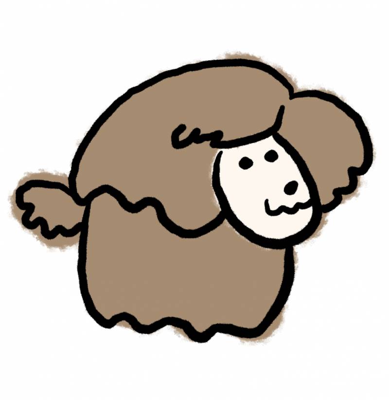 [잡담] 푸들 그렸어 | 인스티즈