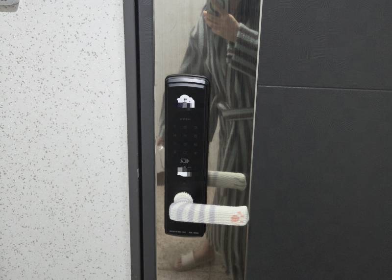 [잡담] 현관문 누가 비번치고 들어올려고 해서 | 인스티즈
